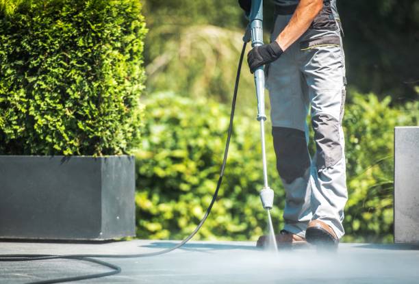 Best Gutter Cleaning  in Bayonne, NJ