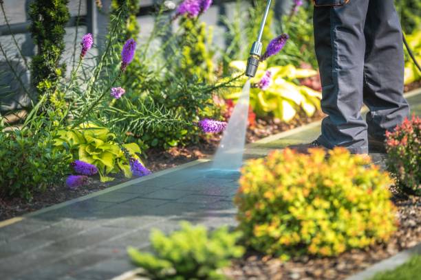 Best Gutter Cleaning  in Bayonne, NJ